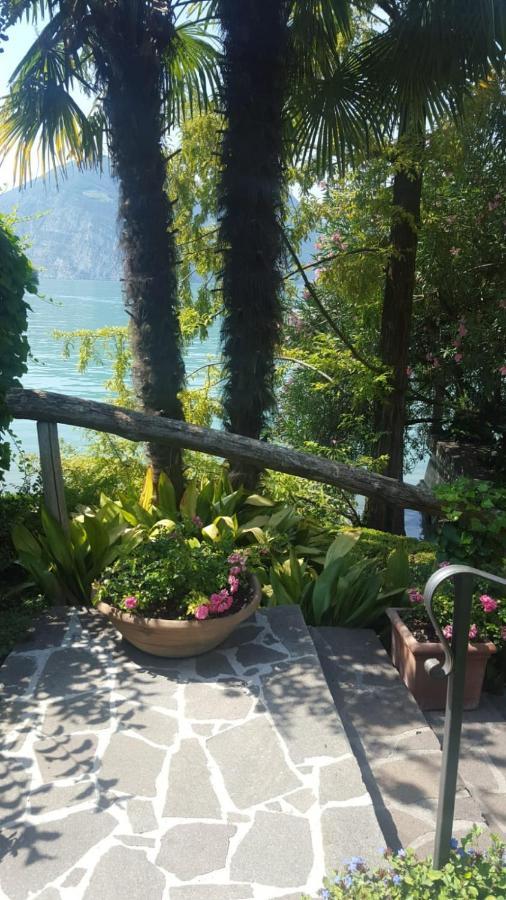 L'Oleandro Sul Lago D'Iseo B&B Сульцано Екстер'єр фото