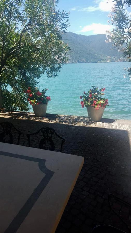L'Oleandro Sul Lago D'Iseo B&B Сульцано Екстер'єр фото