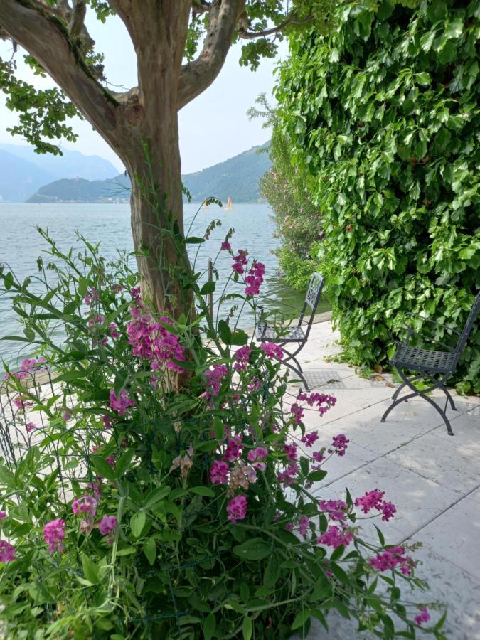 L'Oleandro Sul Lago D'Iseo B&B Сульцано Екстер'єр фото