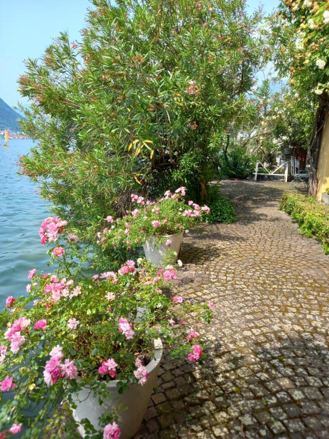 L'Oleandro Sul Lago D'Iseo B&B Сульцано Екстер'єр фото