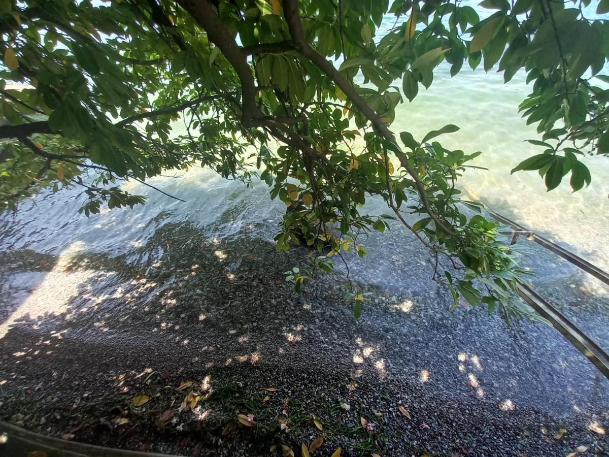 L'Oleandro Sul Lago D'Iseo B&B Сульцано Екстер'єр фото