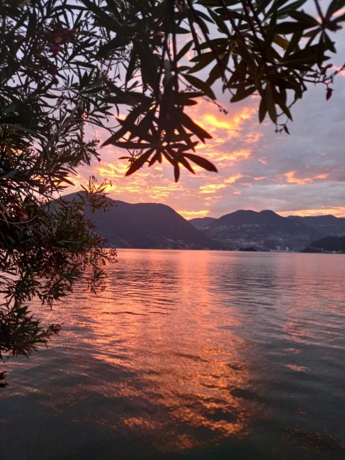 L'Oleandro Sul Lago D'Iseo B&B Сульцано Екстер'єр фото
