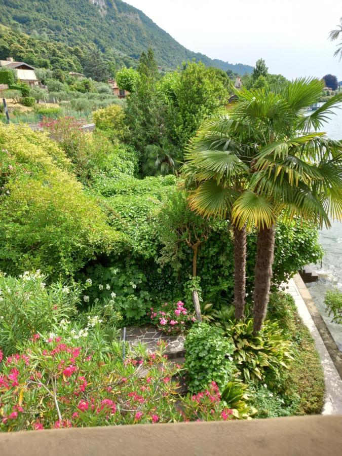 L'Oleandro Sul Lago D'Iseo B&B Сульцано Екстер'єр фото