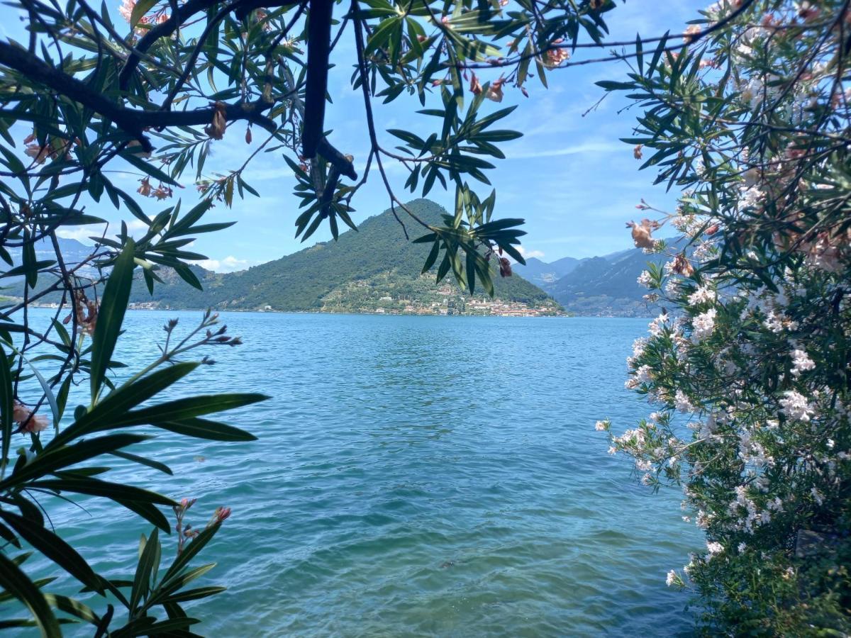 L'Oleandro Sul Lago D'Iseo B&B Сульцано Екстер'єр фото