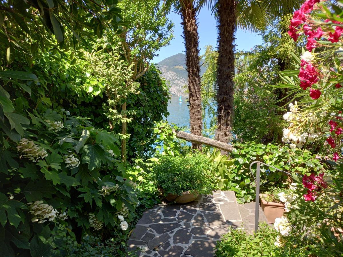 L'Oleandro Sul Lago D'Iseo B&B Сульцано Екстер'єр фото