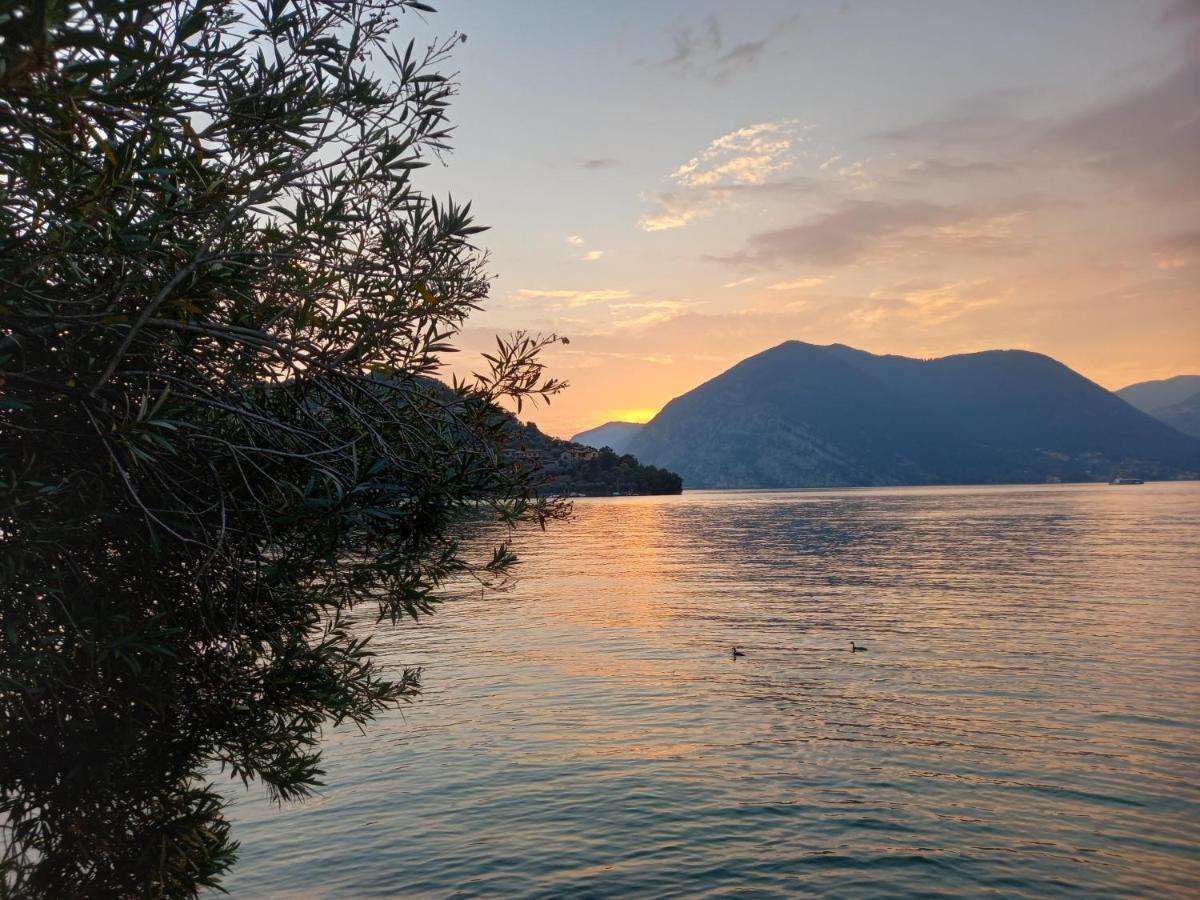 L'Oleandro Sul Lago D'Iseo B&B Сульцано Екстер'єр фото
