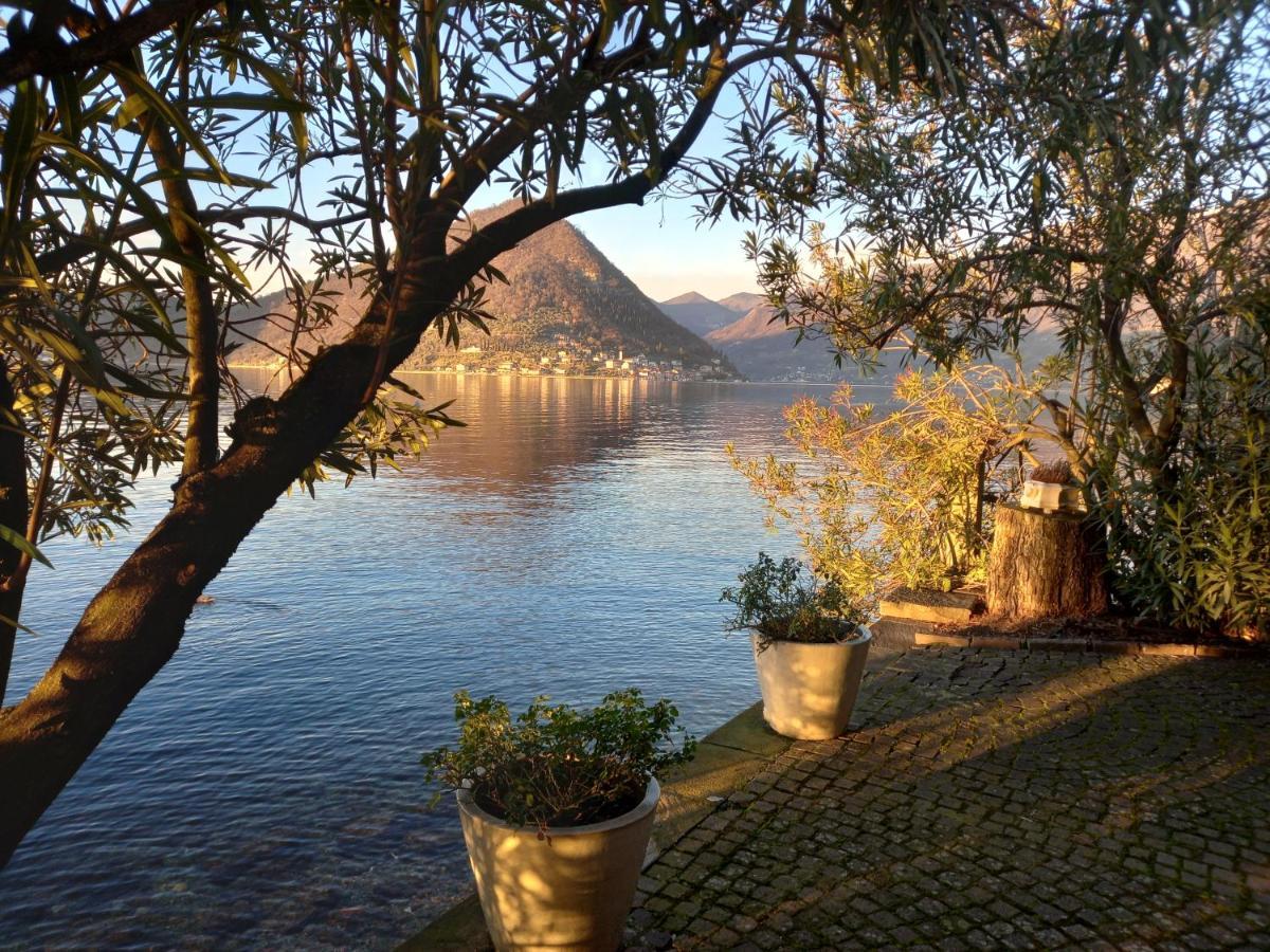 L'Oleandro Sul Lago D'Iseo B&B Сульцано Екстер'єр фото