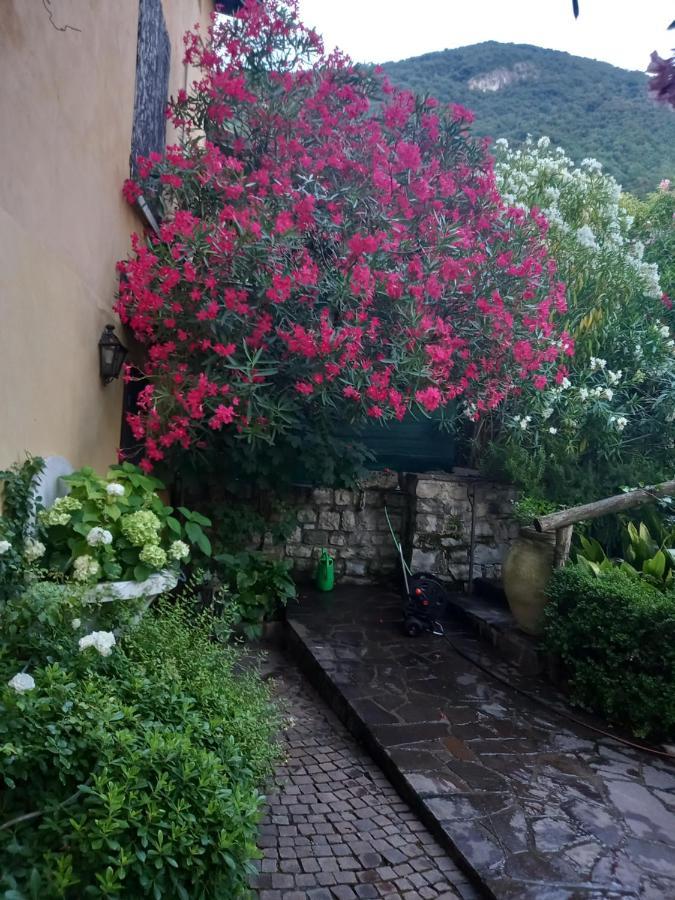 L'Oleandro Sul Lago D'Iseo B&B Сульцано Екстер'єр фото